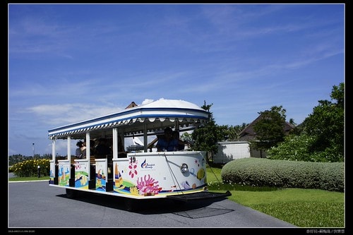 【泰國,離島】旅行從機場開始~蘇梅機場(Koh Samui AIRPORT)小旅行(圖多) - 第9張圖 _DSC3758