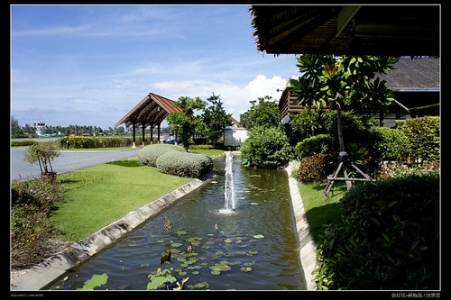 【泰國,離島】旅行從機場開始~蘇梅機場(Koh Samui AIRPORT)小旅行(圖多) - 第18張圖 _DSC3767