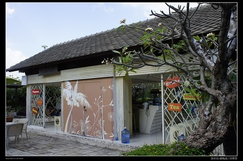 【泰國,離島】旅行從機場開始~蘇梅機場(Koh Samui AIRPORT)小旅行(圖多) - 第29張圖 _DSC4956