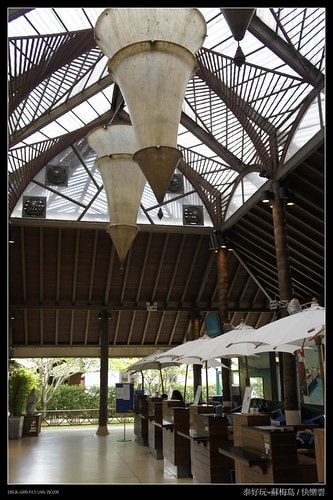 【泰國,離島】旅行從機場開始~蘇梅機場(Koh Samui AIRPORT)小旅行(圖多) - 第22張圖 _DSC4889