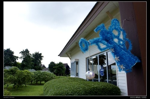 【泰國,離島】旅行從機場開始~蘇梅機場(Koh Samui AIRPORT)小旅行(圖多) - 第32張圖 _DSC4917