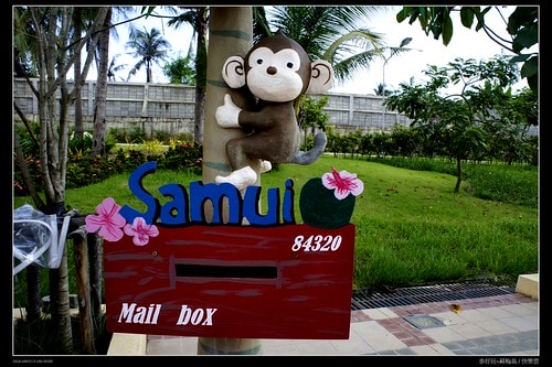 【泰國,離島】旅行從機場開始~蘇梅機場(Koh Samui AIRPORT)小旅行(圖多) - 第26張圖 _DSC4922