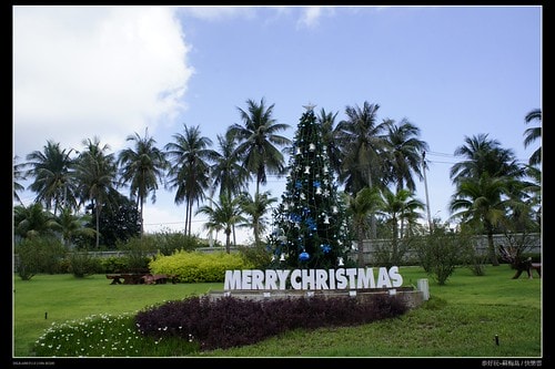 【泰國,離島】旅行從機場開始~蘇梅機場(Koh Samui AIRPORT)小旅行(圖多) - 第27張圖 _DSC4941