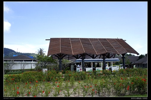 【泰國,離島】旅行從機場開始~蘇梅機場(Koh Samui AIRPORT)小旅行(圖多) - 第45張圖 _DSC4975
