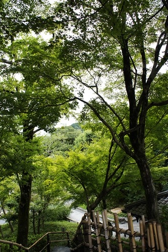 【日本,關西】阪京神奈6 ~ 抹茶宇治,悠閒漫步平等院&宇治川畔 - 第41張圖 _DSC2841