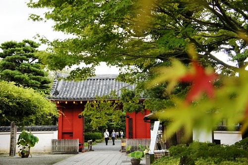 【日本,關西】阪京神奈6 ~ 抹茶宇治,悠閒漫步平等院&宇治川畔 - 第18張圖 _DSC2900