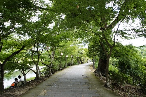 【日本,關西】阪京神奈6 ~ 抹茶宇治,悠閒漫步平等院&宇治川畔 - 第32張圖 _DSC3036