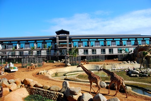 【台灣,新竹】台灣小旅行~到關西六福莊跟動物們做朋友 - 第37張圖 DSC_5989