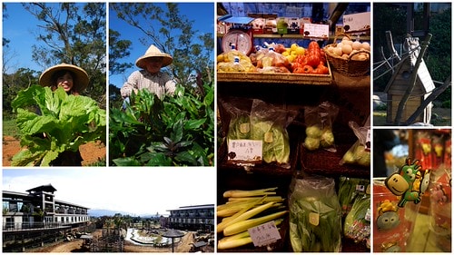 【台灣,新竹】台灣小旅行~到關西六福莊跟動物們做朋友 - 第32張圖 其他