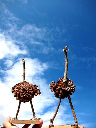 【台灣,新竹】台灣小旅行~到關西六福莊跟動物們做朋友 - 第33張圖 IMG_6723