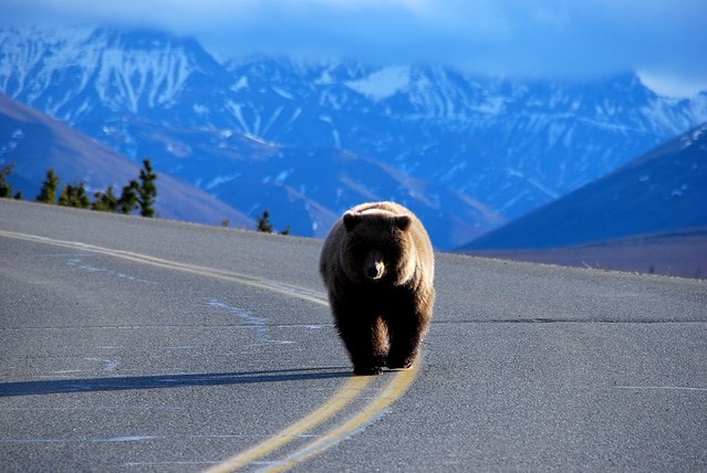 美國免簽去哪好呢??