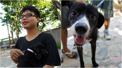 肯納園的午茶約會御醬風滷味趴;8/13來台北市大湖公園肯聽音樂、做公益 - 第13張圖 肯納園4