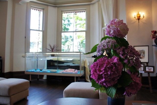 【日本,關西】2011漫遊關西真愜意8 ~ 神戶北野異人館讓人驚喜連連,彷彿穿越了任意門抵達歐美童話小鎮 - 第25張圖