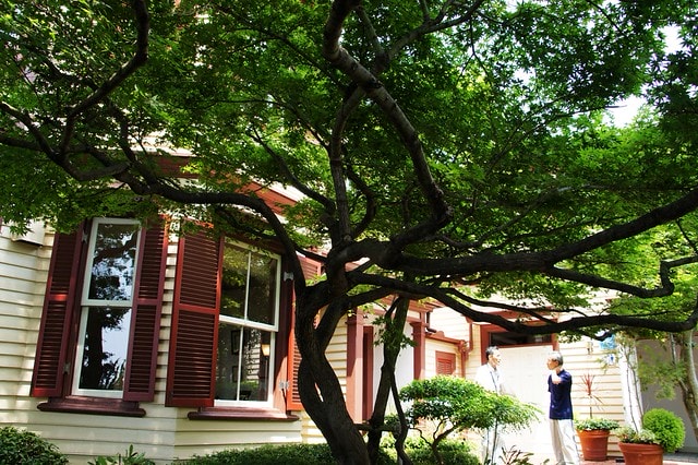 【日本,關西】2011漫遊關西真愜意8 ~ 神戶北野異人館讓人驚喜連連,彷彿穿越了任意門抵達歐美童話小鎮 - 第17張圖