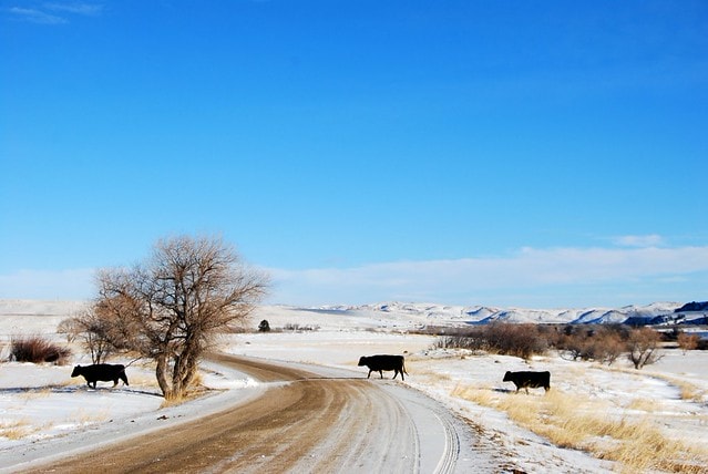 2011ITF台北國際旅展11/11~14正式展開,歡迎大家一起來旅行台灣,環遊世界!!