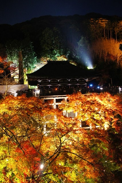 2011雲在京都楓葉紅,美哉(回應抽獎小禮物同步進行中) - 第19張圖