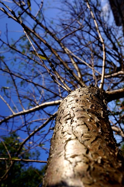 先跟大家拜早年; 祝大家新的一年平安快樂,心想事成 - 第13張圖