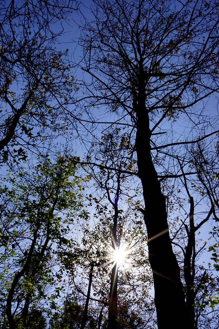 先跟大家拜早年; 祝大家新的一年平安快樂,心想事成 - 第12張圖