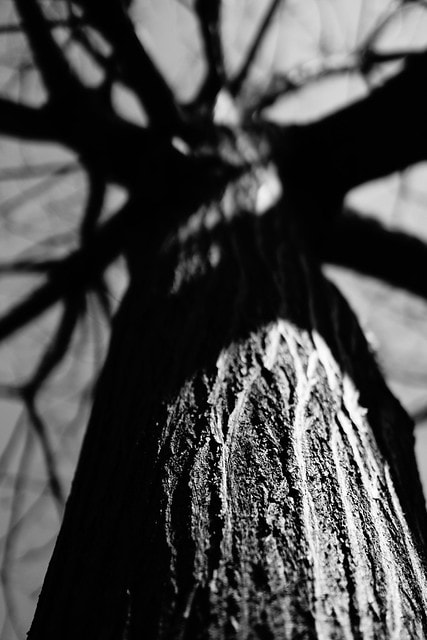 先跟大家拜早年; 祝大家新的一年平安快樂,心想事成 - 第14張圖