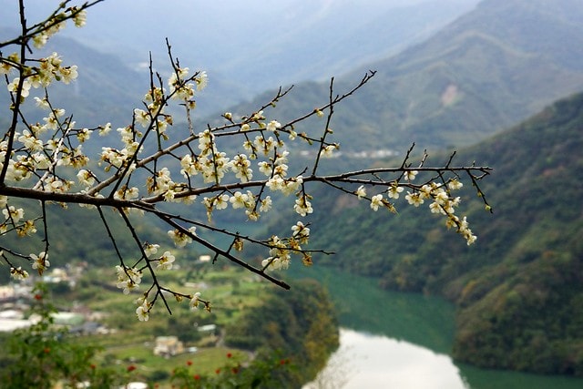 先跟大家拜早年; 祝大家新的一年平安快樂,心想事成 - 第7張圖