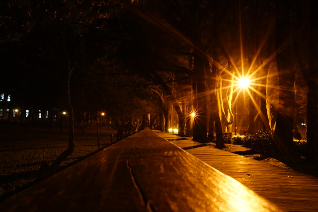 先跟大家拜早年; 祝大家新的一年平安快樂,心想事成 - 第30張圖