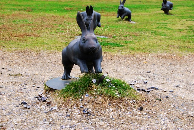 【日本,四國】跟著明星去旅行,林依晨山陰愛戀之旅 ~ 在島根縣立美術館看夕陽,摸幸運兔祈求美好姻緣 - 第40張圖