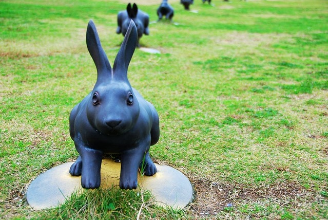 【日本,四國】跟著明星去旅行,林依晨山陰愛戀之旅 ~ 在島根縣立美術館看夕陽,摸幸運兔祈求美好姻緣 - 第37張圖