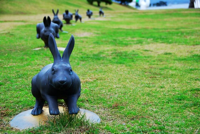 【日本,四國】跟著明星去旅行,林依晨山陰愛戀之旅 ~ 在島根縣立美術館看夕陽,摸幸運兔祈求美好姻緣 - 第6張圖