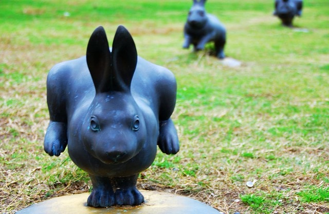 【日本,四國】跟著明星去旅行,林依晨山陰愛戀之旅 ~ 在島根縣立美術館看夕陽,摸幸運兔祈求美好姻緣 - 第26張圖
