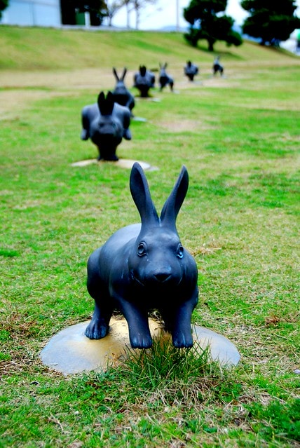 【日本,四國】跟著明星去旅行,林依晨山陰愛戀之旅 ~ 在島根縣立美術館看夕陽,摸幸運兔祈求美好姻緣 - 第28張圖