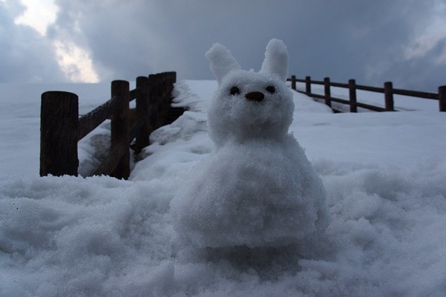 【日本,東北】來去日本祕湯住一晚,夜宿幾百年的溫泉祕境~強首溫泉(こわくびおんせん, Kowakubi)樅峰苑 - 第13張圖 DSC09733