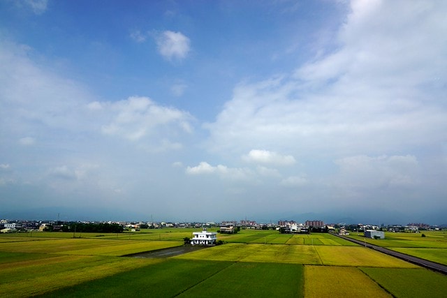 【台灣,宜蘭】宜蘭有機樂活1日遊(一) 三泰有機農場有機綠茶DIY,健康看得見 - 第5張圖
