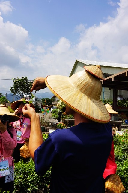 【台灣,宜蘭】宜蘭有機樂活1日遊(一) 三泰有機農場有機綠茶DIY,健康看得見 - 第8張圖