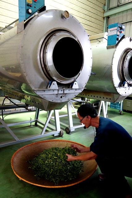 【台灣,宜蘭】宜蘭有機樂活1日遊(一) 三泰有機農場有機綠茶DIY,健康看得見 - 第17張圖