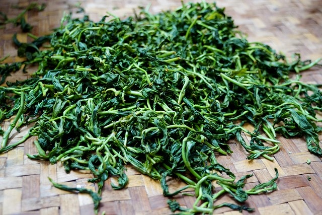 【台灣,宜蘭】宜蘭有機樂活1日遊(一) 三泰有機農場有機綠茶DIY,健康看得見 - 第20張圖