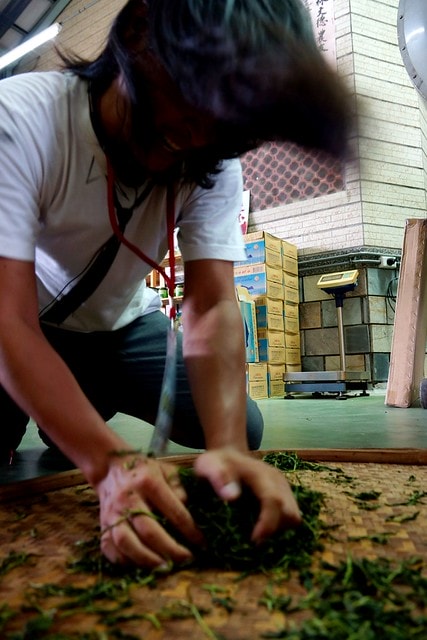 【台灣,宜蘭】宜蘭有機樂活1日遊(一) 三泰有機農場有機綠茶DIY,健康看得見 - 第19張圖