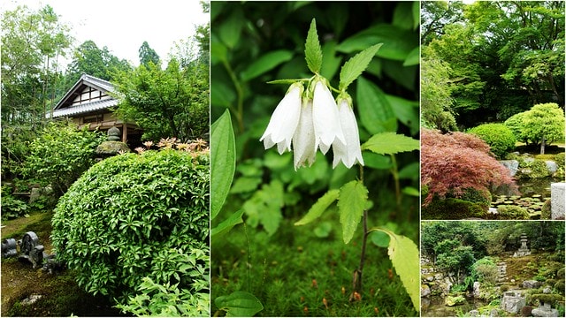 【日本關西自由行】2011漫遊關西真愜意13 ~ 偶爾也該離開人群,找個安靜的角落到實光院(实光院 Jikkoin)喝杯茶 - 第20張圖