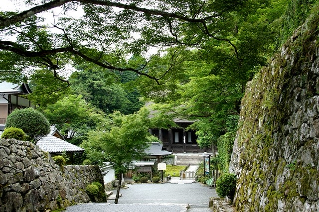 【日本關西自由行】2011漫遊關西真愜意13 ~ 偶爾也該離開人群,找個安靜的角落到實光院(实光院 Jikkoin)喝杯茶 - 第5張圖