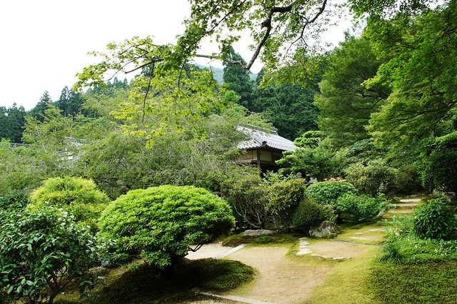 【日本關西自由行】2011漫遊關西真愜意13 ~ 偶爾也該離開人群,找個安靜的角落到實光院(实光院 Jikkoin)喝杯茶 - 第33張圖