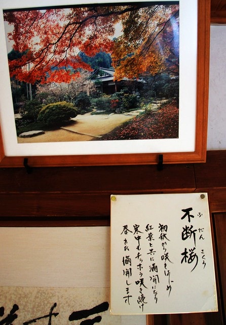 【日本關西自由行】2011漫遊關西真愜意13 ~ 偶爾也該離開人群,找個安靜的角落到實光院(实光院 Jikkoin)喝杯茶 - 第17張圖