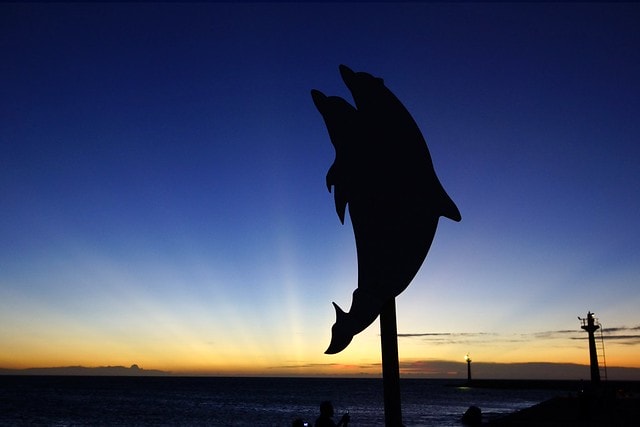 【台灣,宜蘭】「不落92」 慢騎宜蘭,這一夏騎車好好玩(冬山車站、冬山森林公園、珍珠社區、員山機堡、宜蘭磚窯、林美金棗文化館) & 7/30~8/5快樂雲前進日本不在家告假通知與抽獎活動 - 第36張圖 【台灣,宜蘭】「不落92」 慢騎宜蘭,這一夏騎車好好玩(冬山車站、冬山森林公園、珍珠社區、員山機堡、宜蘭磚窯、林美金棗文化館) & 7/30~8/5快樂雲前進日本不在家告假通知與抽獎活動