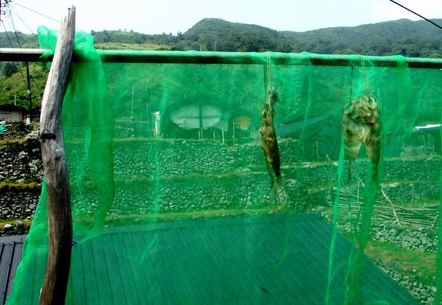 【台灣，離島】太平洋遺落的珍珠，蘭嶼；臨太平洋的海洋部落，野銀部落