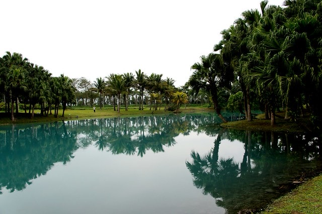【台灣，花蓮】不可思議的人工美景 ；台灣美景 ~ 壽豐鄉，雲山水