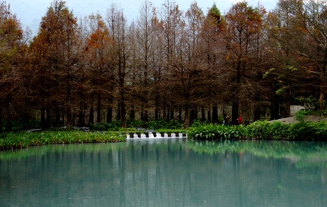 【台灣，花蓮】不可思議的人工美景 ；台灣美景 ~ 壽豐鄉，雲山水