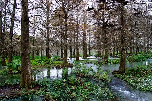 【台灣，花蓮】不可思議的人工美景 ；台灣美景 ~ 壽豐鄉，雲山水