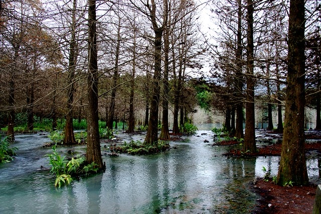 【台灣，花蓮】不可思議的人工美景 ；台灣美景 ~ 壽豐鄉，雲山水