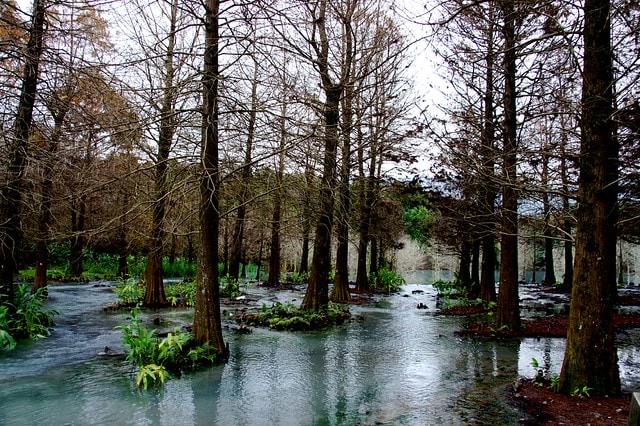 【台灣，花蓮】不可思議的人工美景 ；台灣美景 ~ 壽豐鄉，雲山水