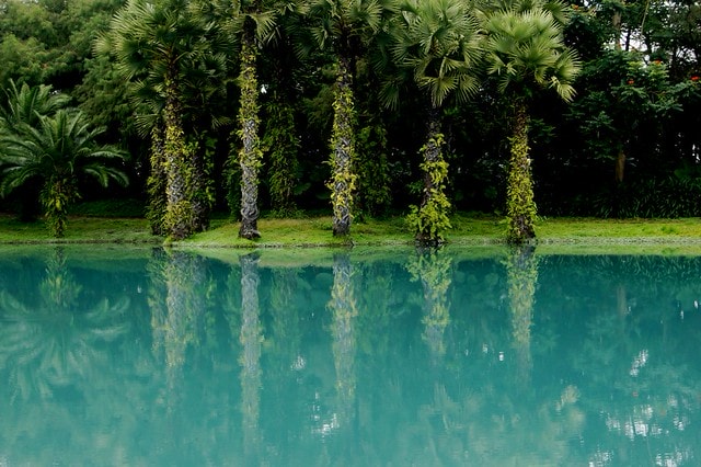 【台灣，花蓮】不可思議的人工美景 ；台灣美景 ~ 壽豐鄉，雲山水