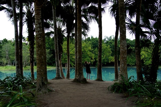 【台灣，花蓮】不可思議的人工美景 ；台灣美景 ~ 壽豐鄉，雲山水