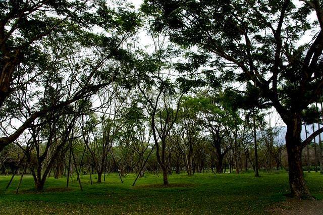 【台灣，花蓮】不可思議的人工美景 ；台灣美景 ~ 壽豐鄉，雲山水
